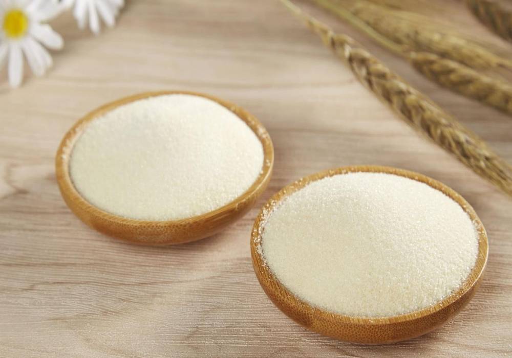 ژلاتین چیست؟